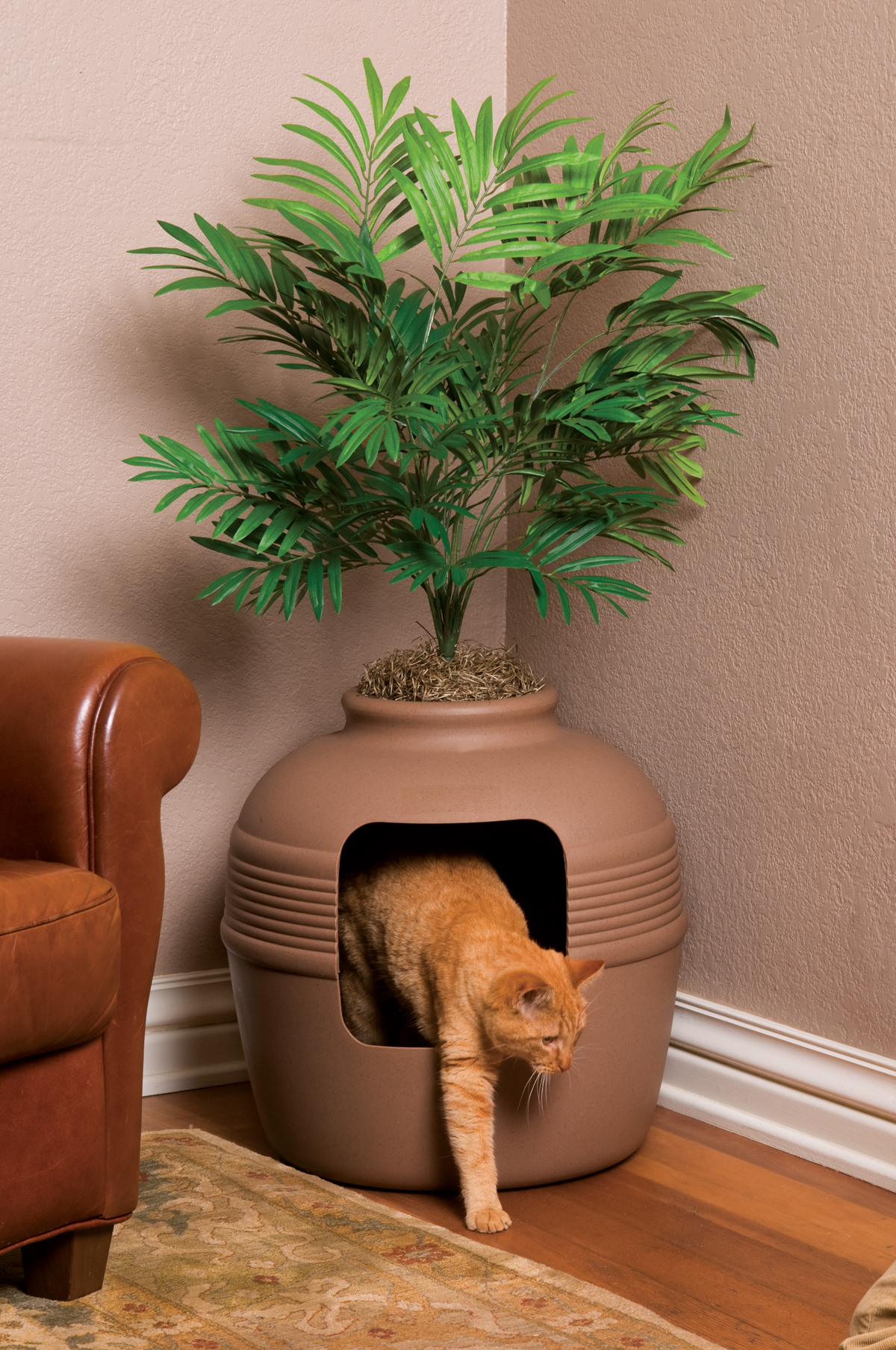 The 10 Best Hidden Cat Litter Box Ideas